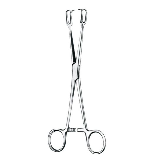 Museux Tonsil Forceps