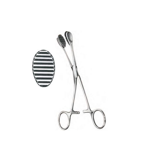 Young Touge Holding Forceps, 17.0Cm
