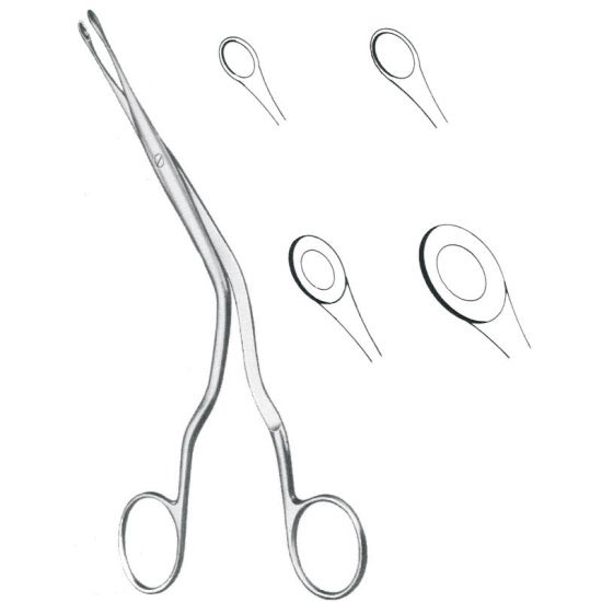 Luc Septum Forceps 20.0Cm