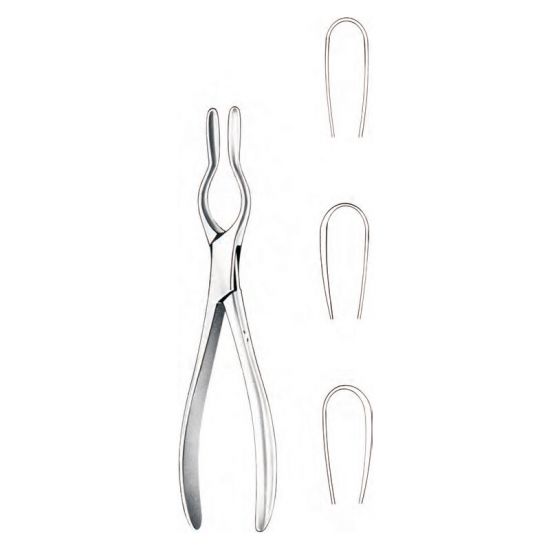 Walsham Septum Straightening Forceps 23Cm  