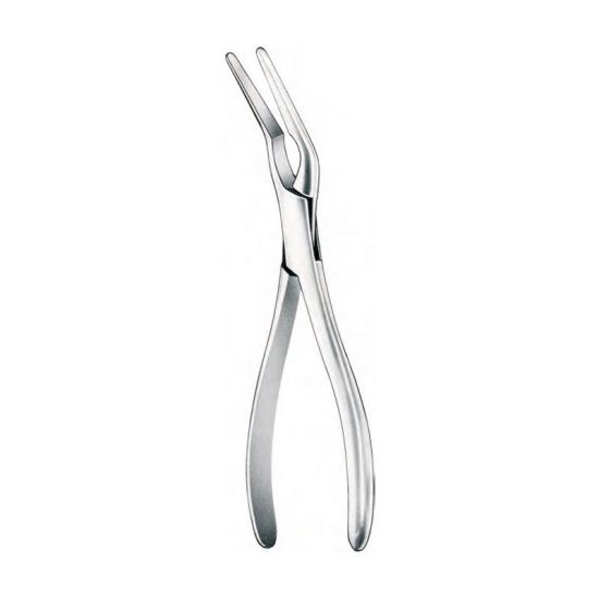 Walsham Septum Straightening Forceps 23Cm  