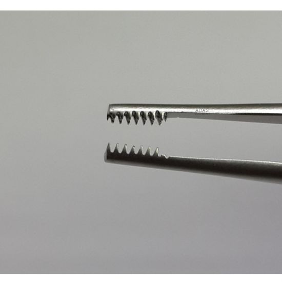 Angular Brown-Adson Tissue Forceps